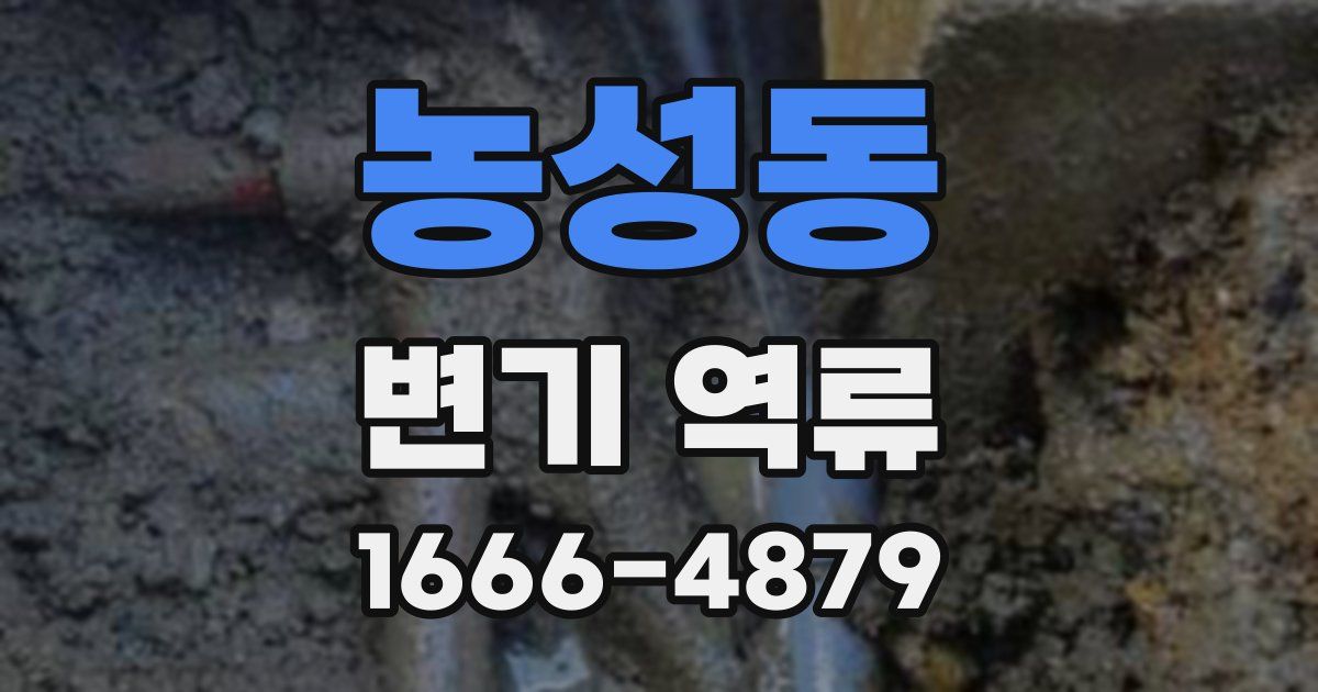 농성동 변기 역류