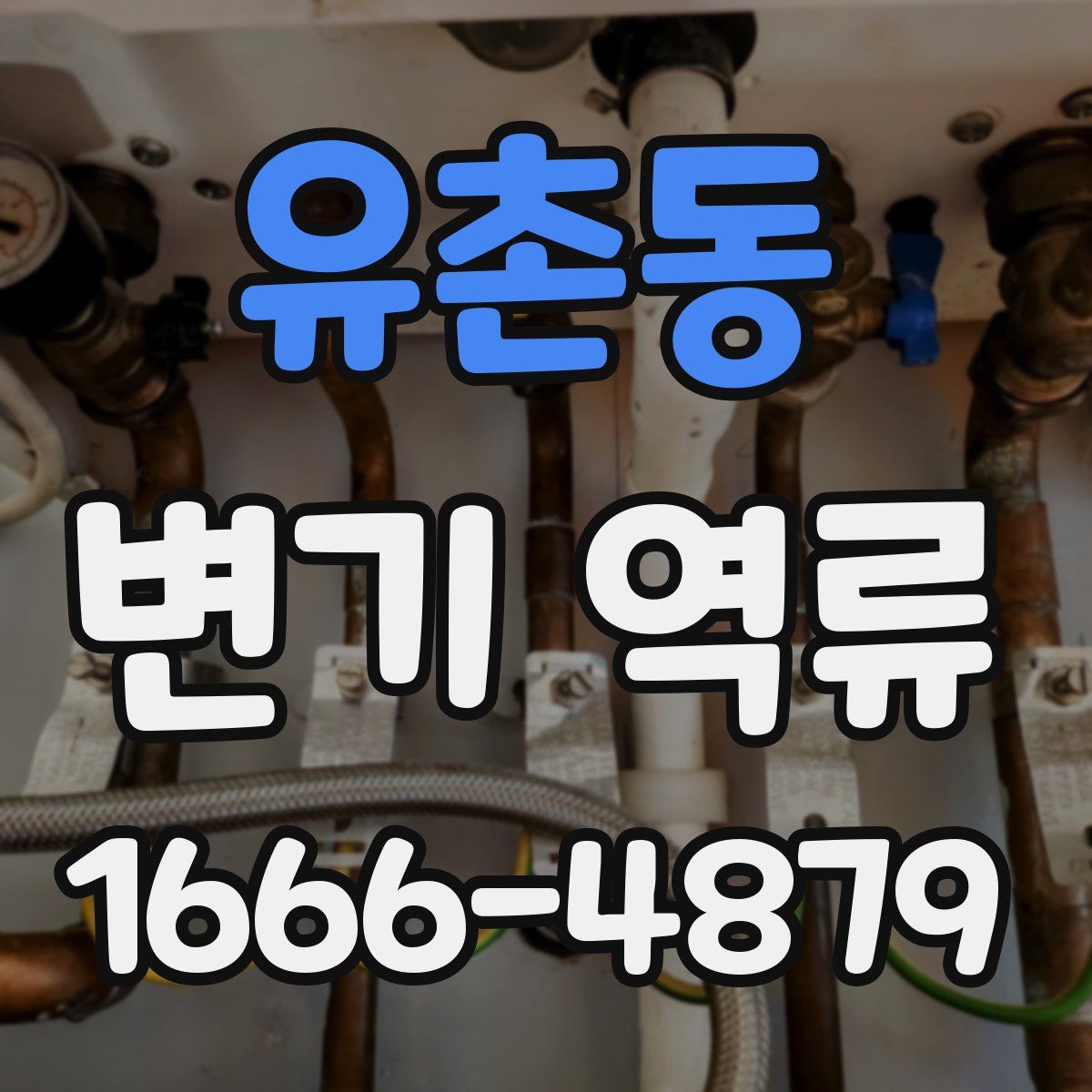유촌동 변기 역류