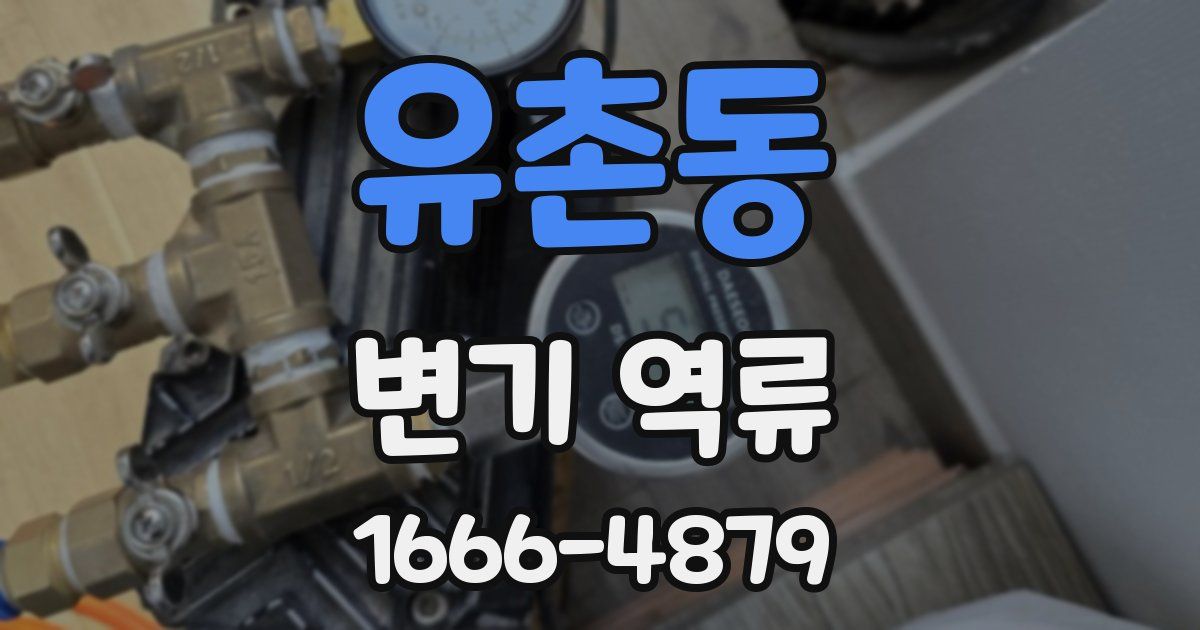 유촌동 변기 역류