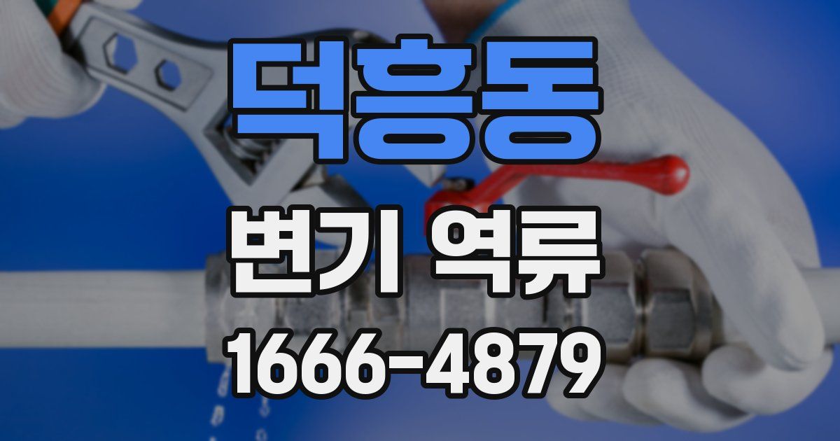 덕흥동 변기 역류