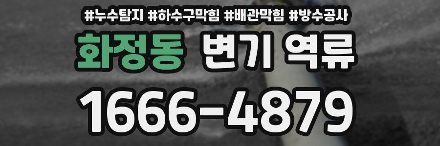 화정동 변기 역류