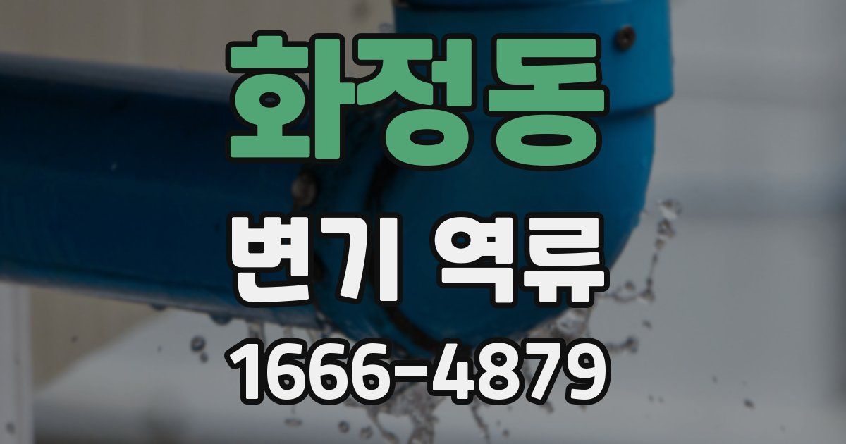 화정동 변기 역류