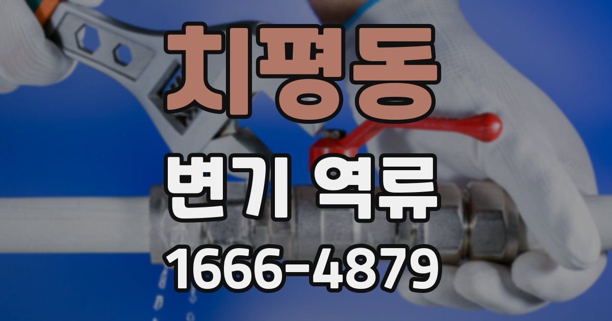 치평동 변기 역류