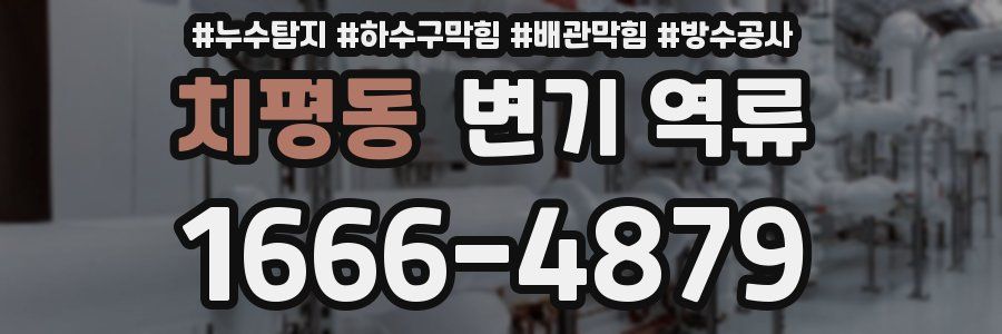 치평동 변기 역류
