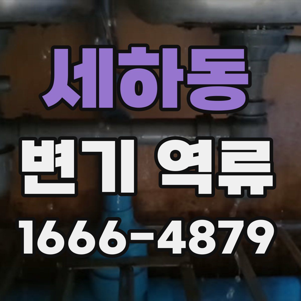 세하동 변기 역류