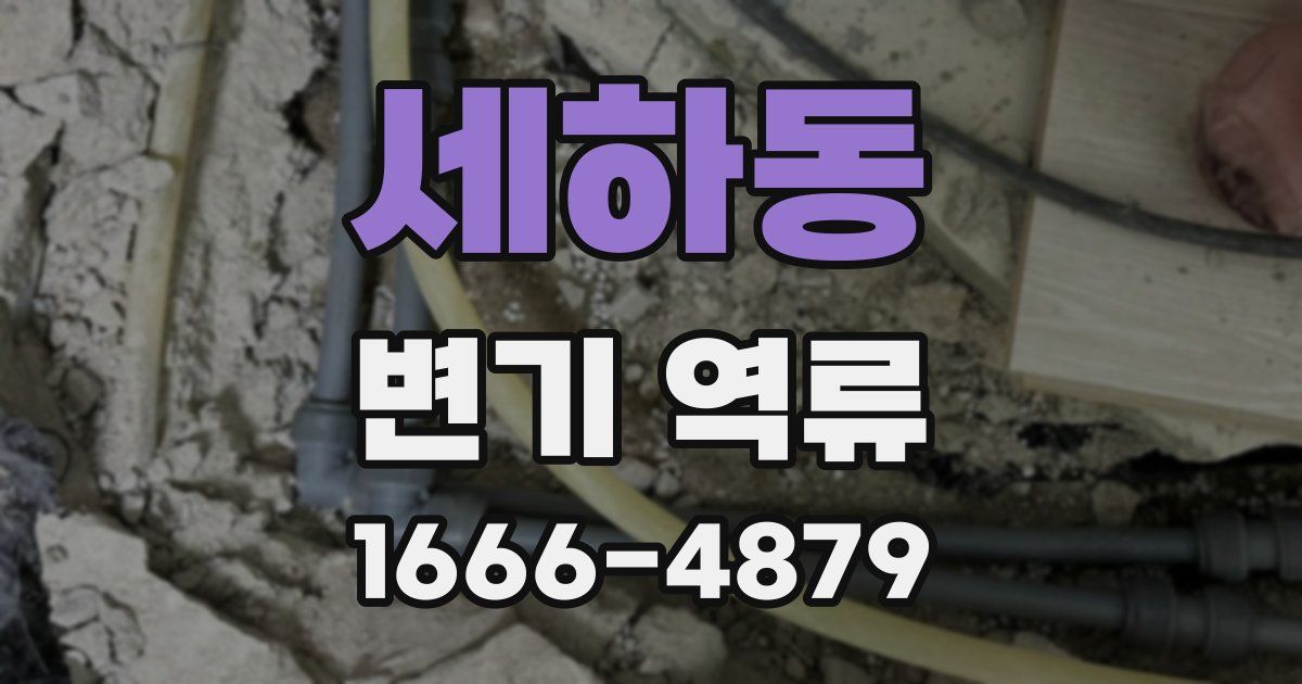 세하동 변기 역류