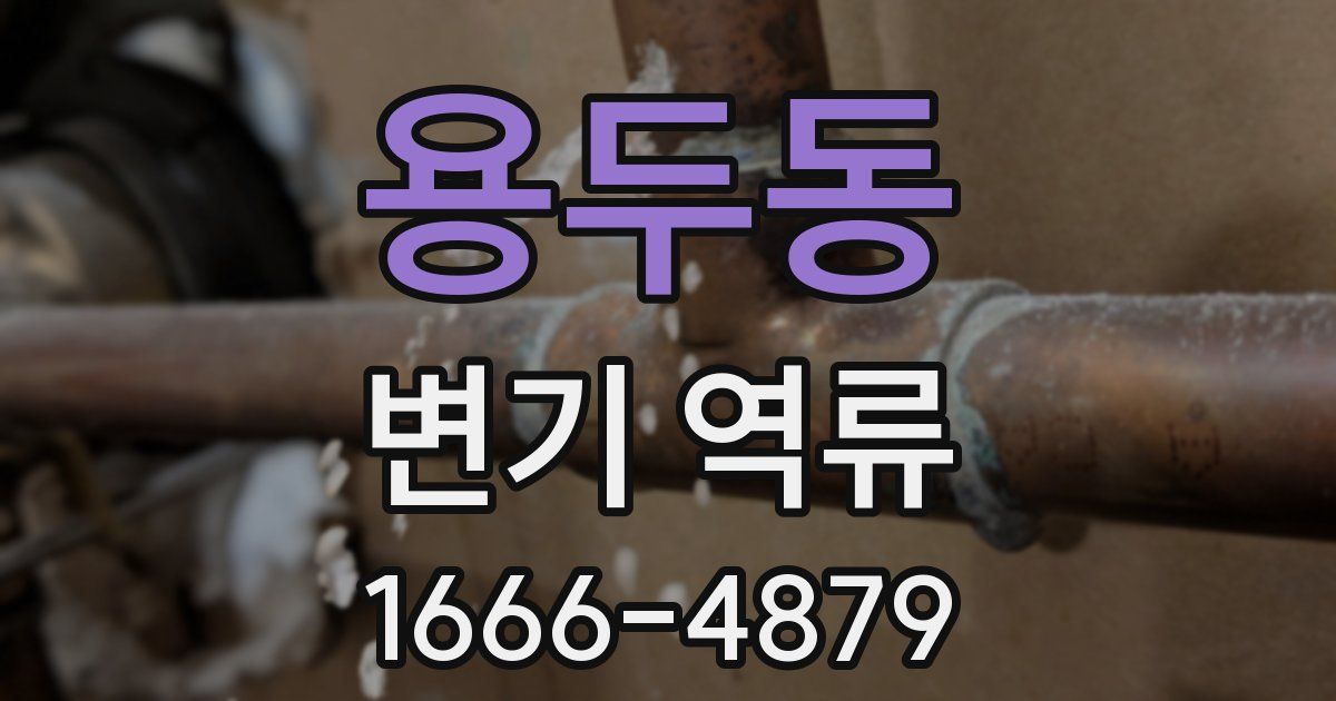 용두동 변기 역류