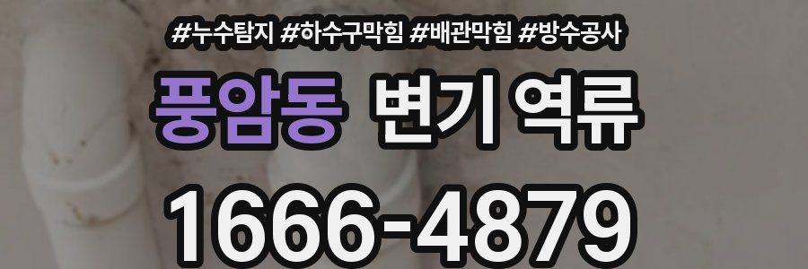 풍암동 변기 역류