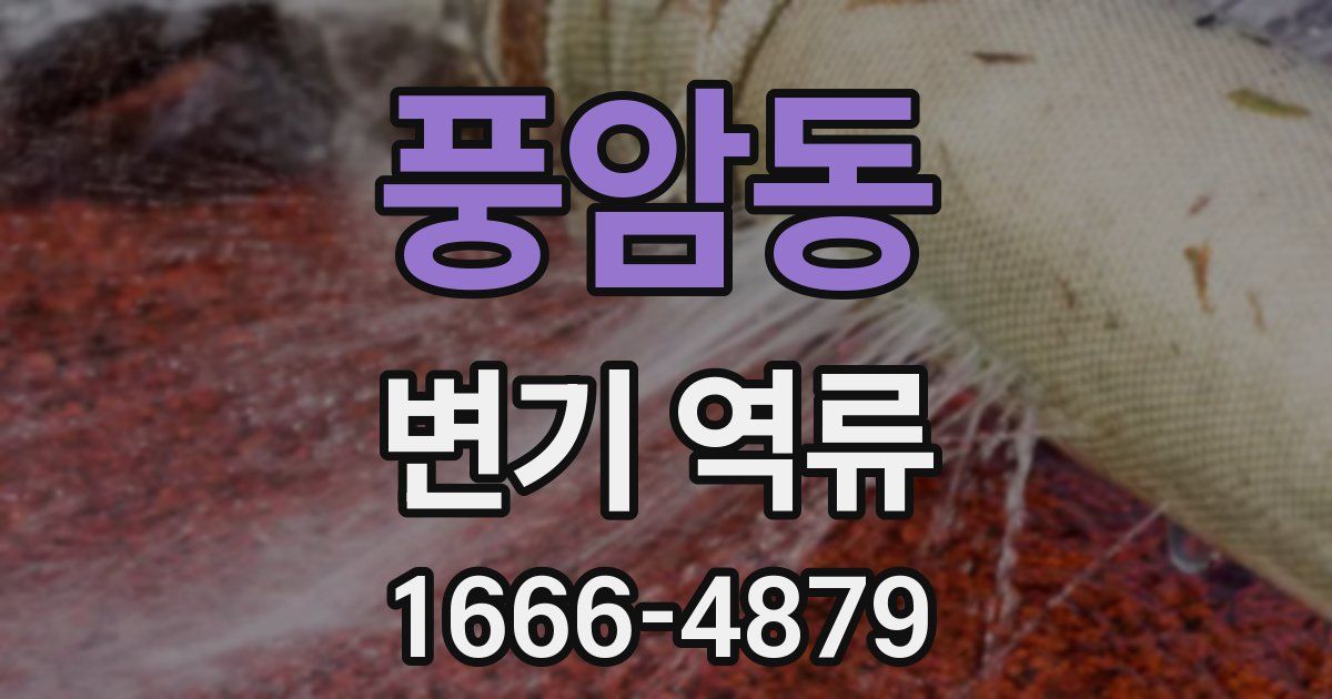 풍암동 변기 역류