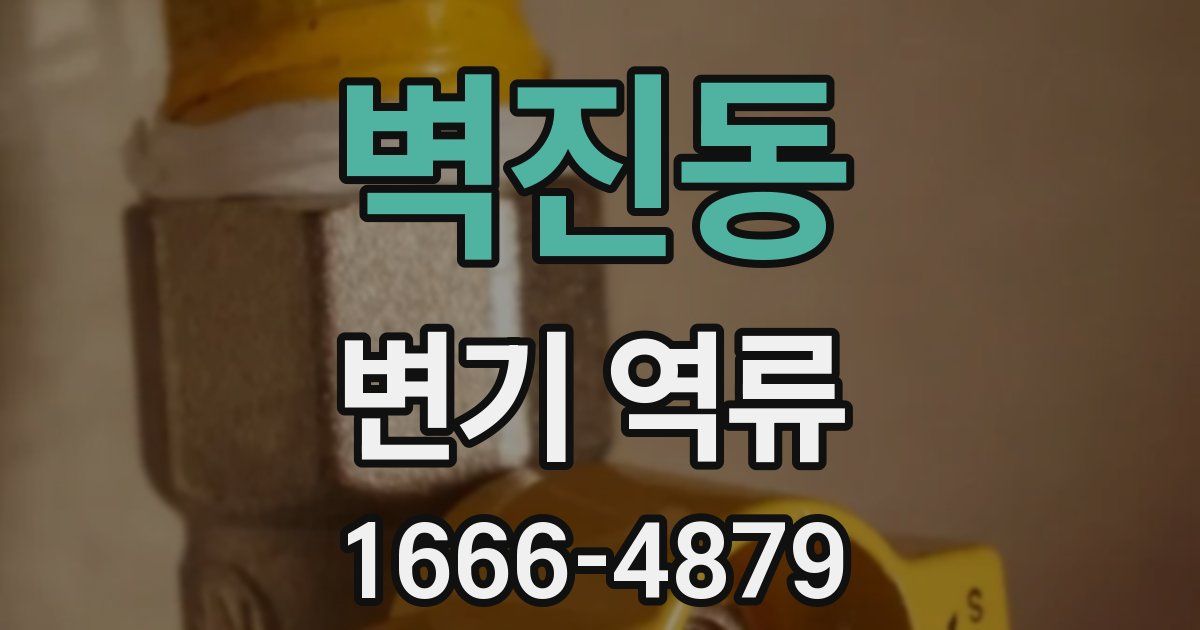 벽진동 변기 역류