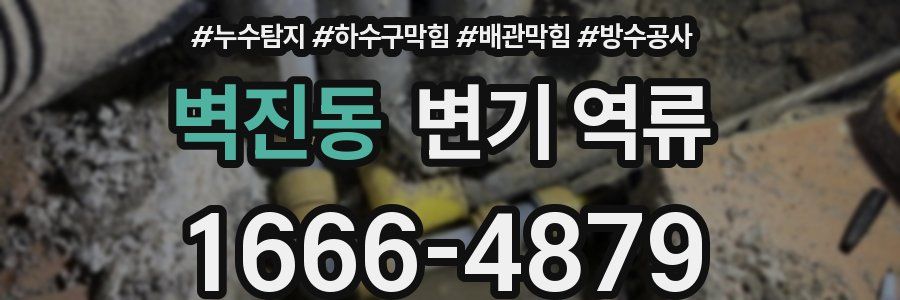 벽진동 변기 역류