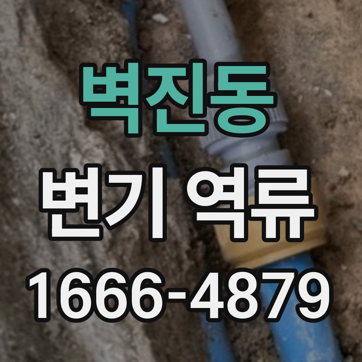 벽진동 변기 역류