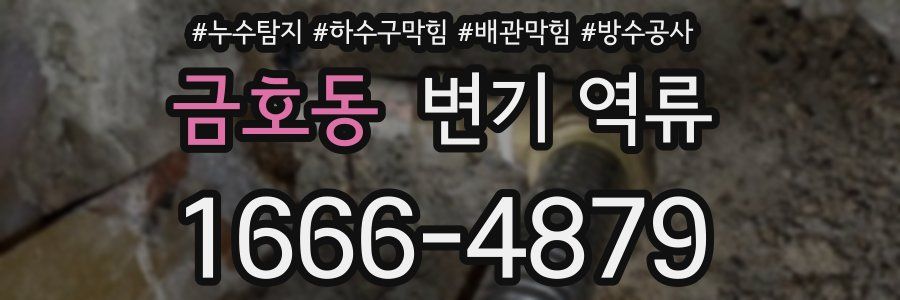 금호동 변기 역류
