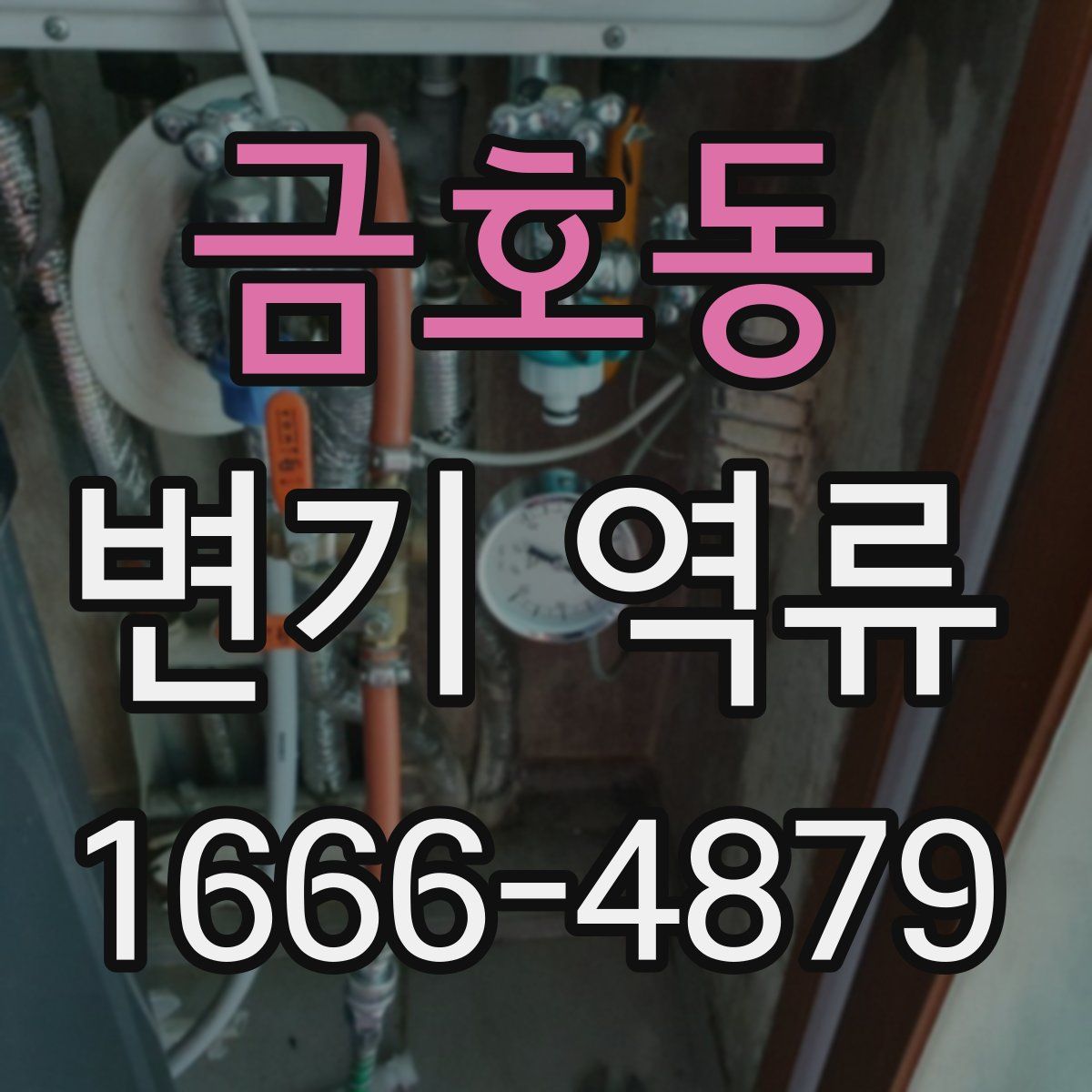 금호동 변기 역류