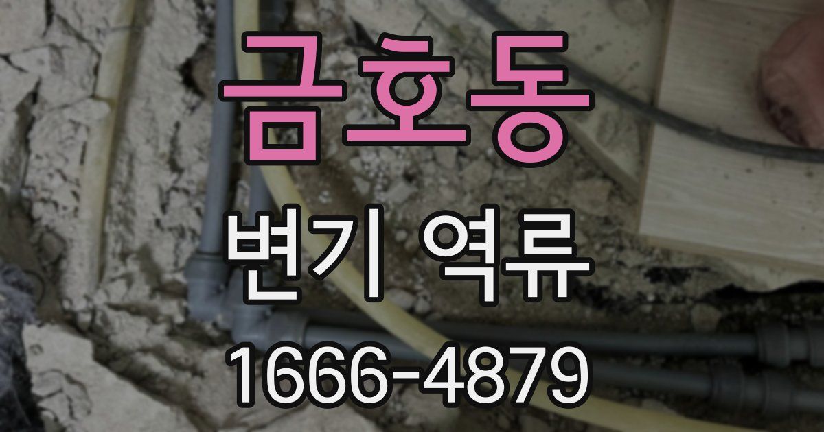 금호동 변기 역류
