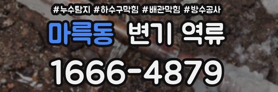 마륵동 변기 역류