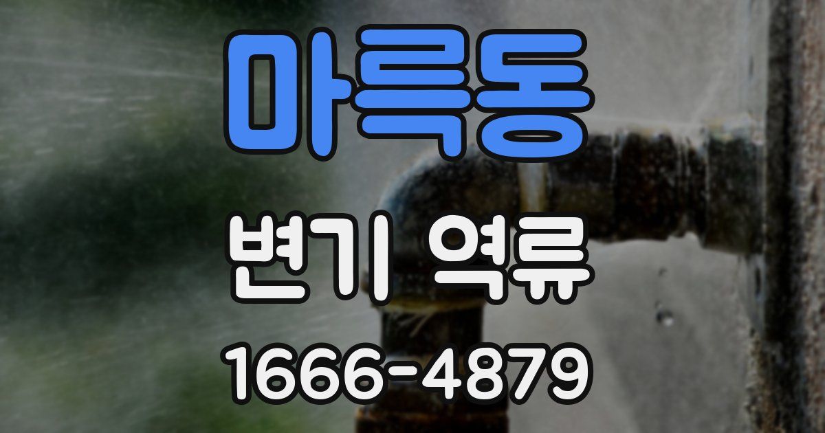 마륵동 변기 역류