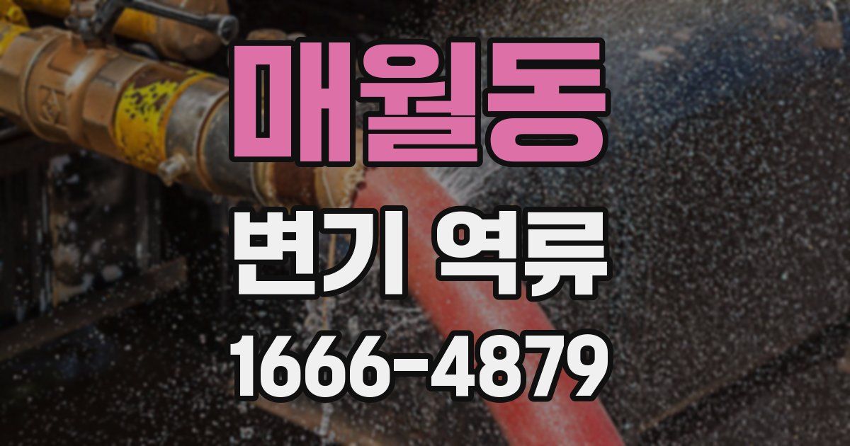 매월동 변기 역류