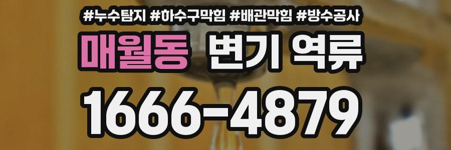 매월동 변기 역류