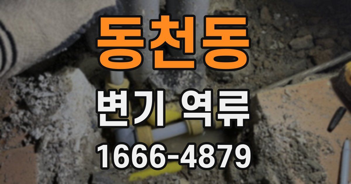 동천동 변기 역류