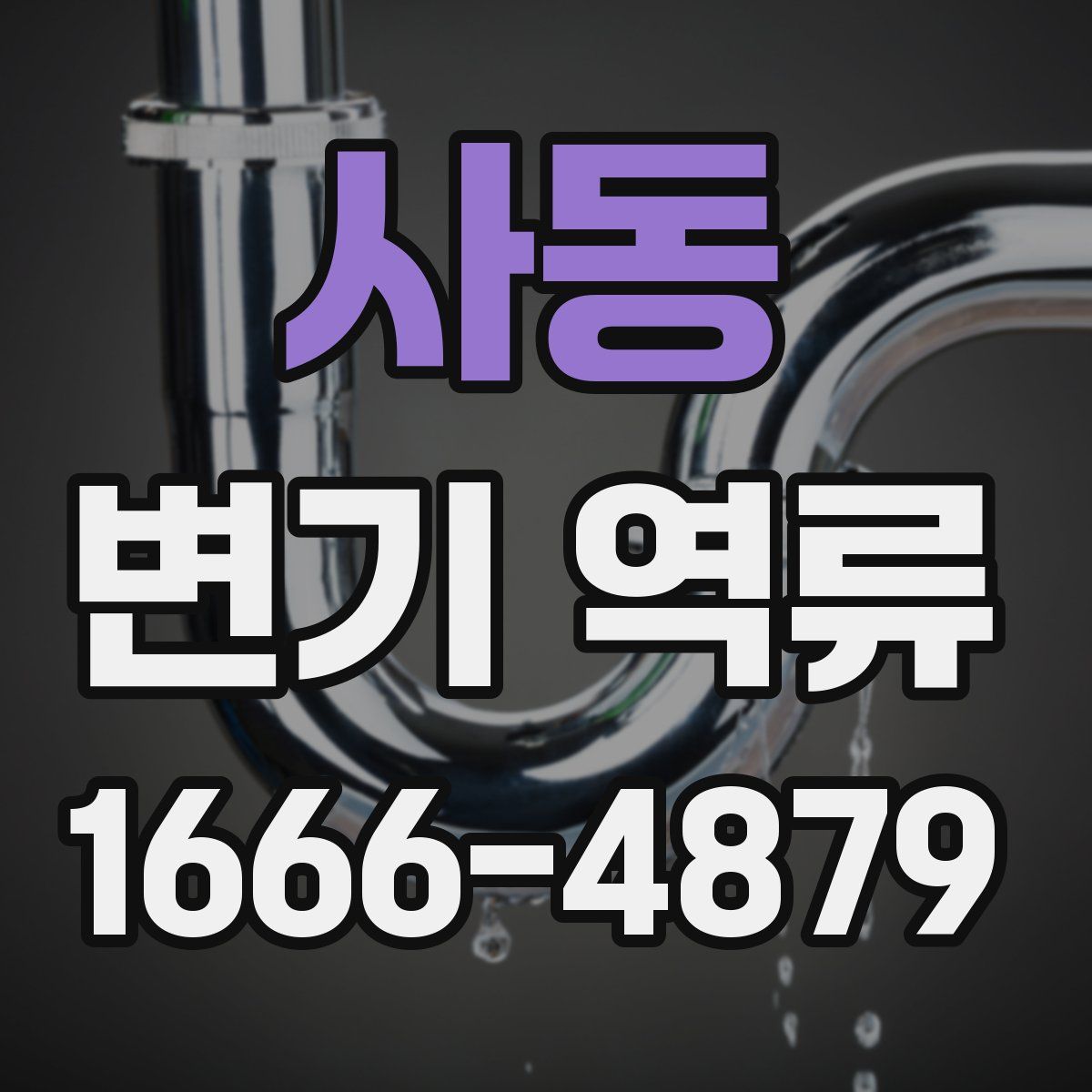 사동 변기 역류