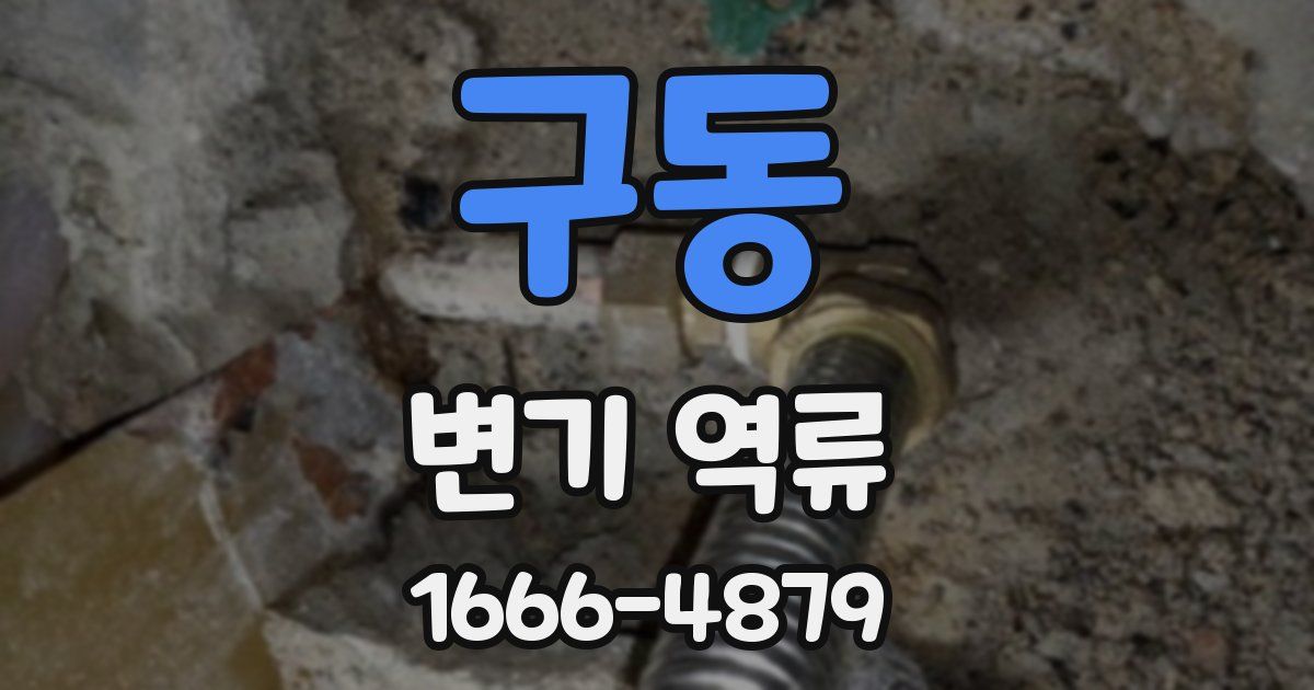 구동 변기 역류