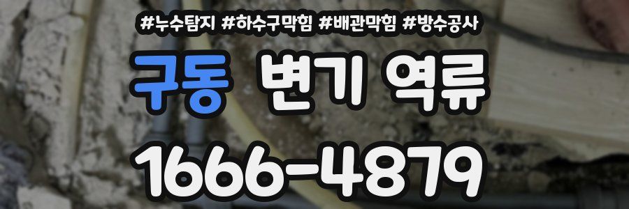 구동 변기 역류