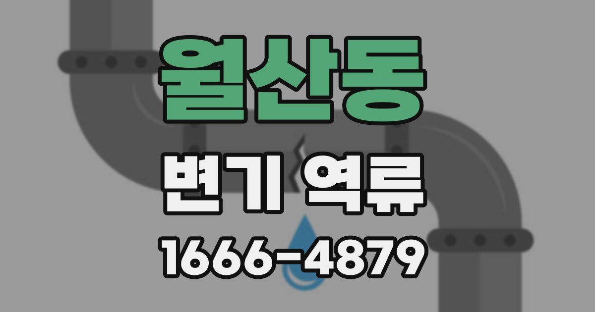 월산동 변기 역류