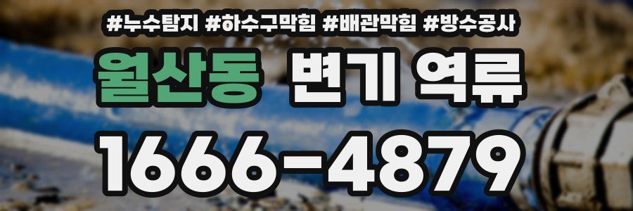 월산동 변기 역류