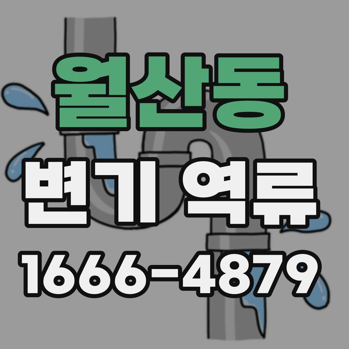 월산동 변기 역류