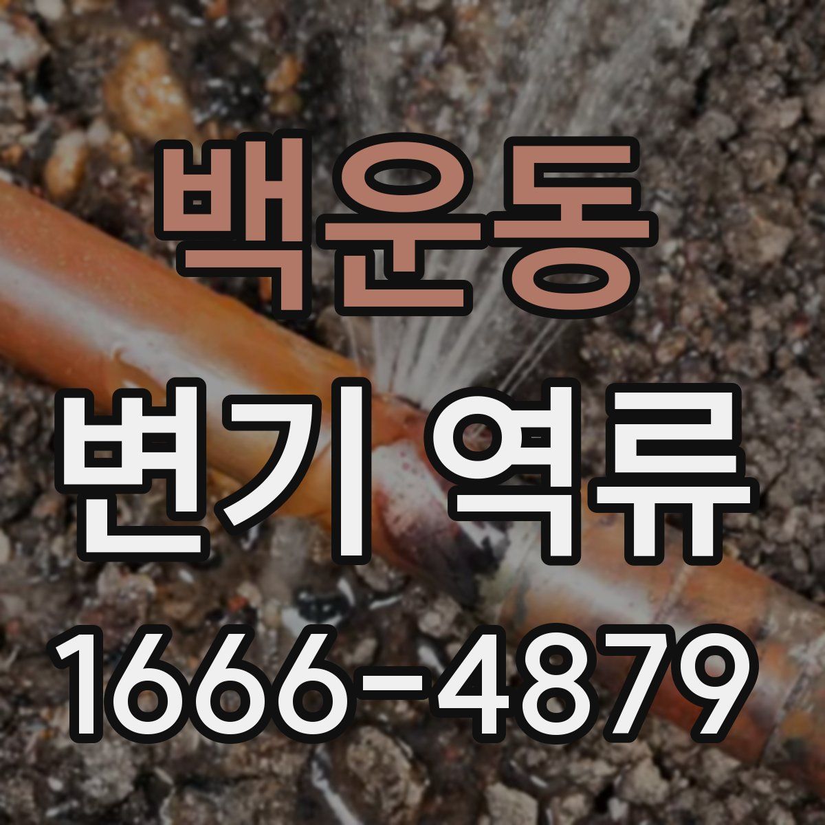 백운동 변기 역류