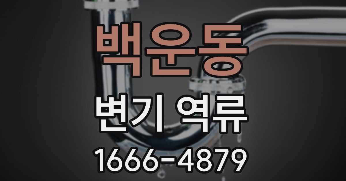 백운동 변기 역류