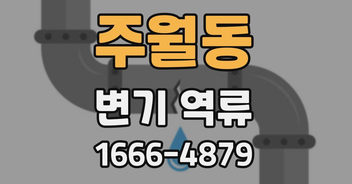 주월동 변기 역류