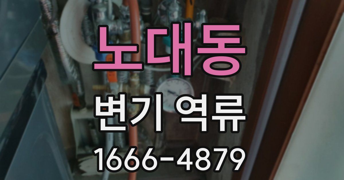 노대동 변기 역류