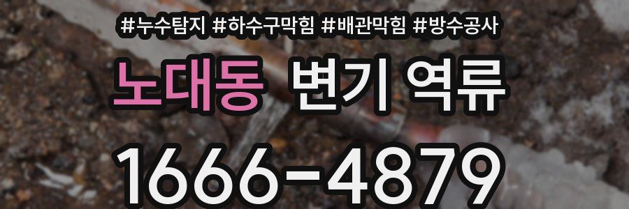 노대동 변기 역류