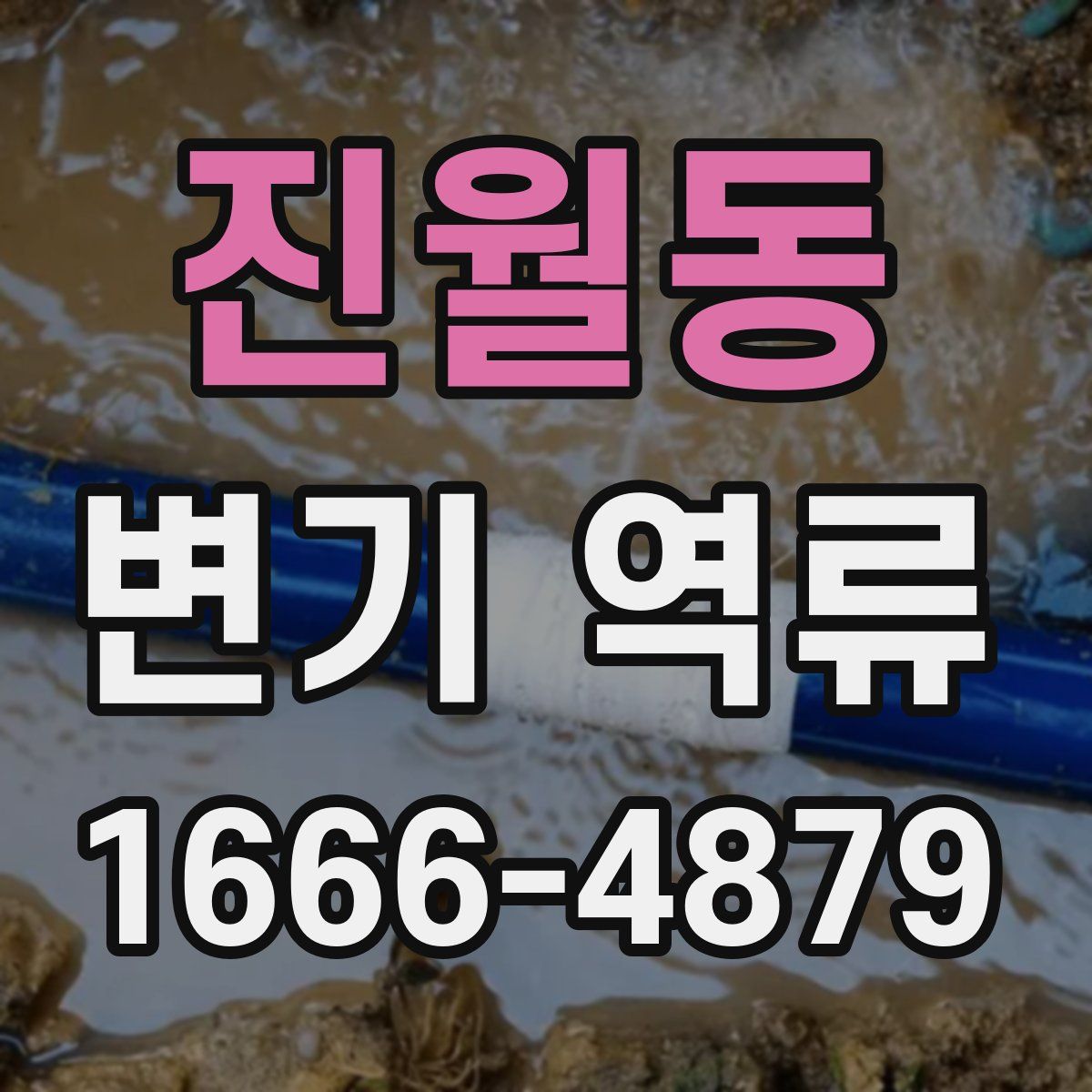 진월동 변기 역류