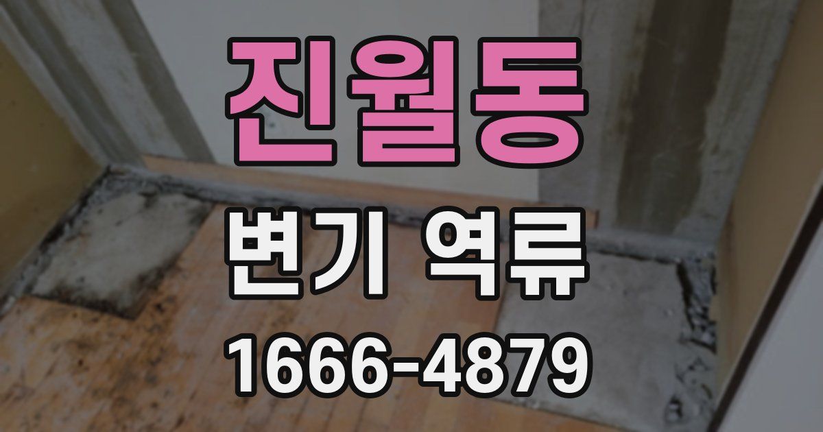 진월동 변기 역류