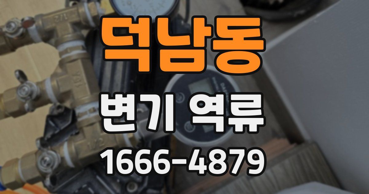 덕남동 변기 역류