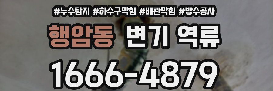 행암동 변기 역류