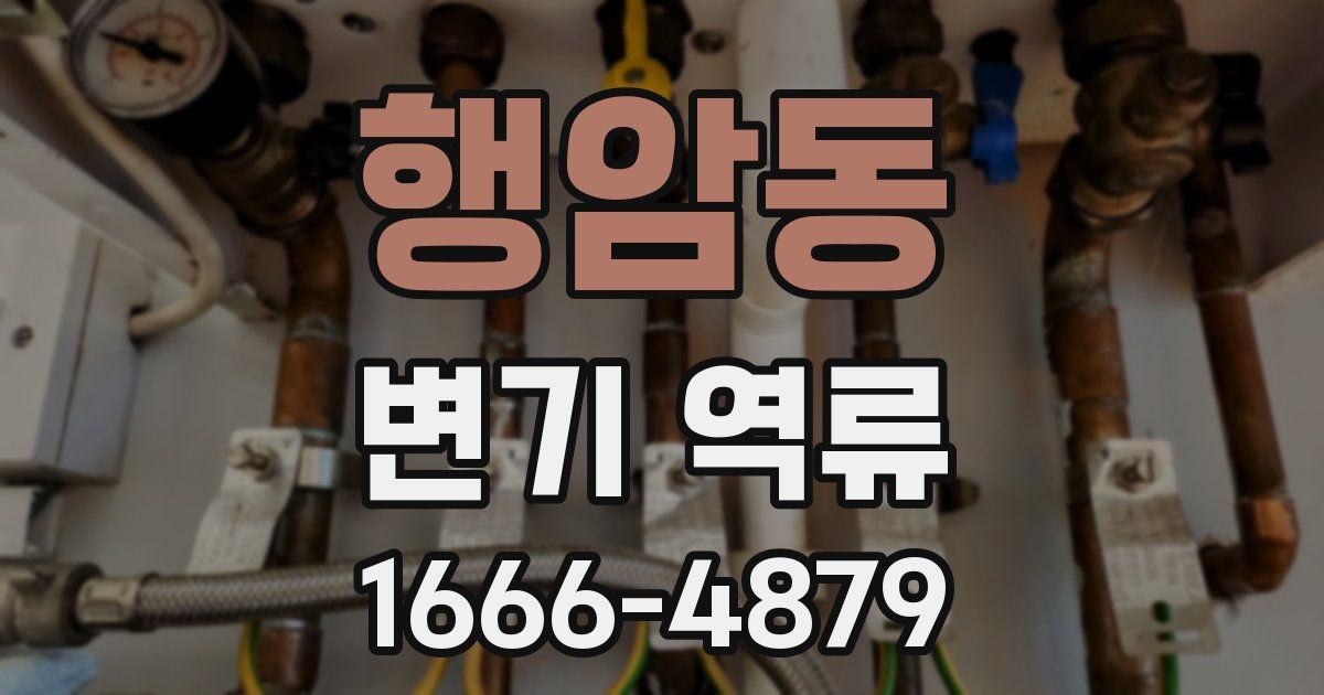 행암동 변기 역류