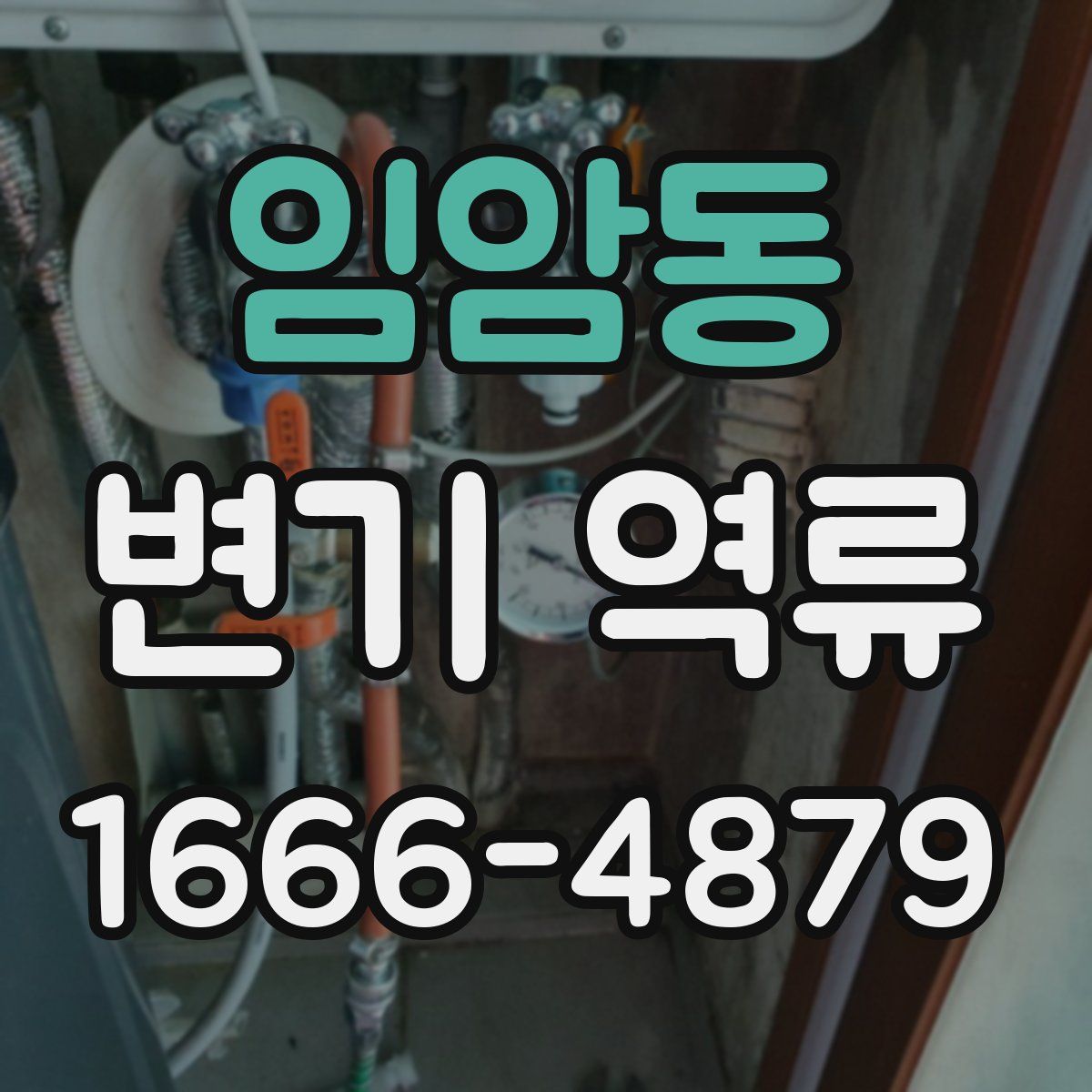 임암동 변기 역류