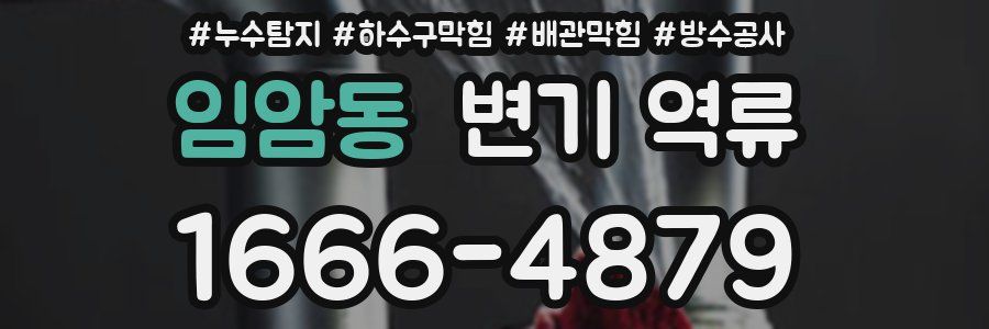 임암동 변기 역류