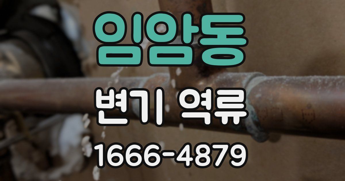 임암동 변기 역류
