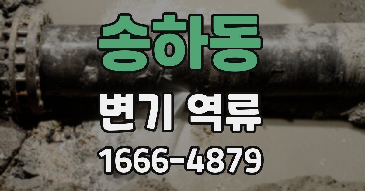 송하동 변기 역류