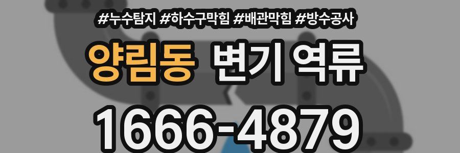 양림동 변기 역류