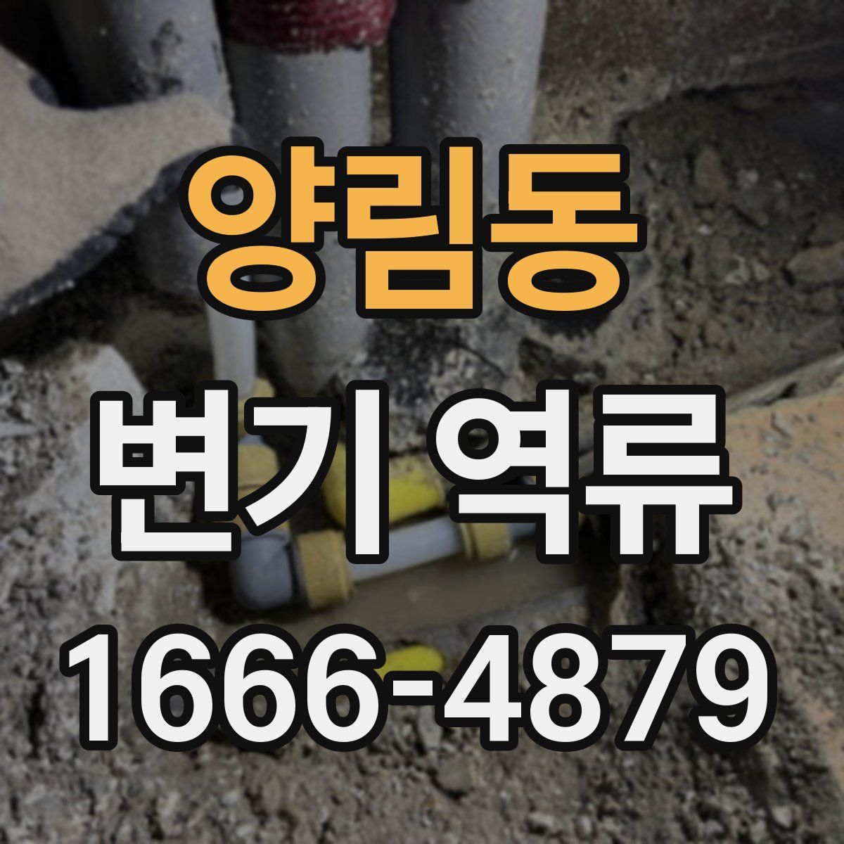 양림동 변기 역류