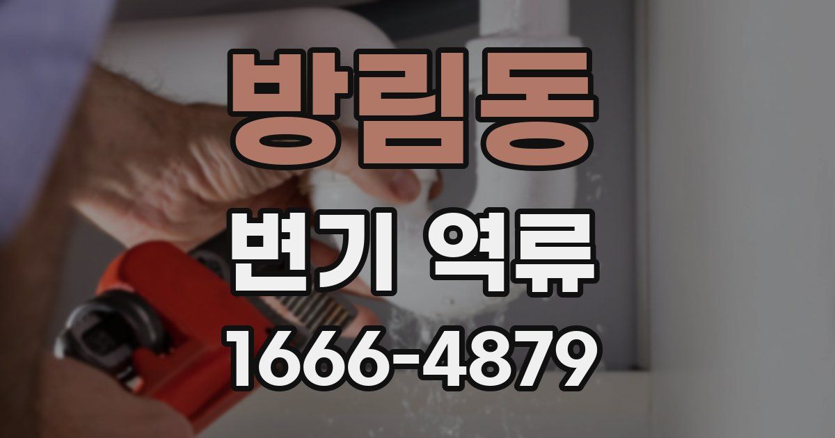 방림동 변기 역류