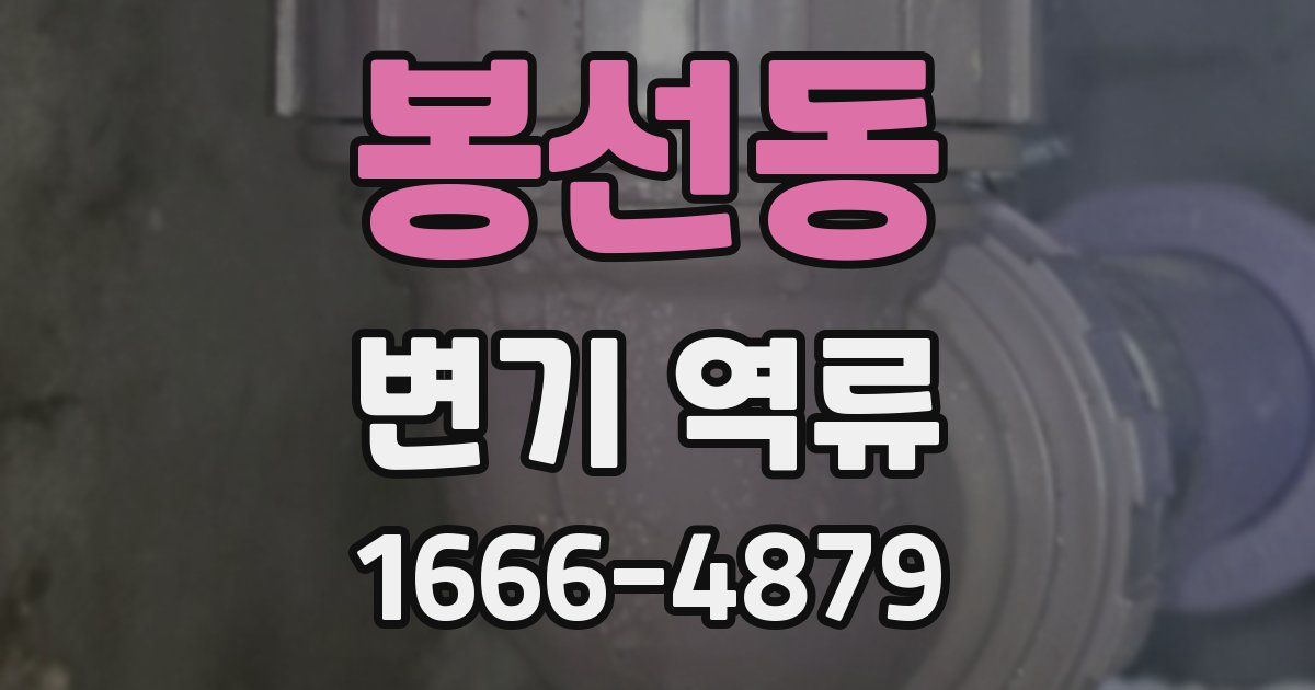 봉선동 변기 역류