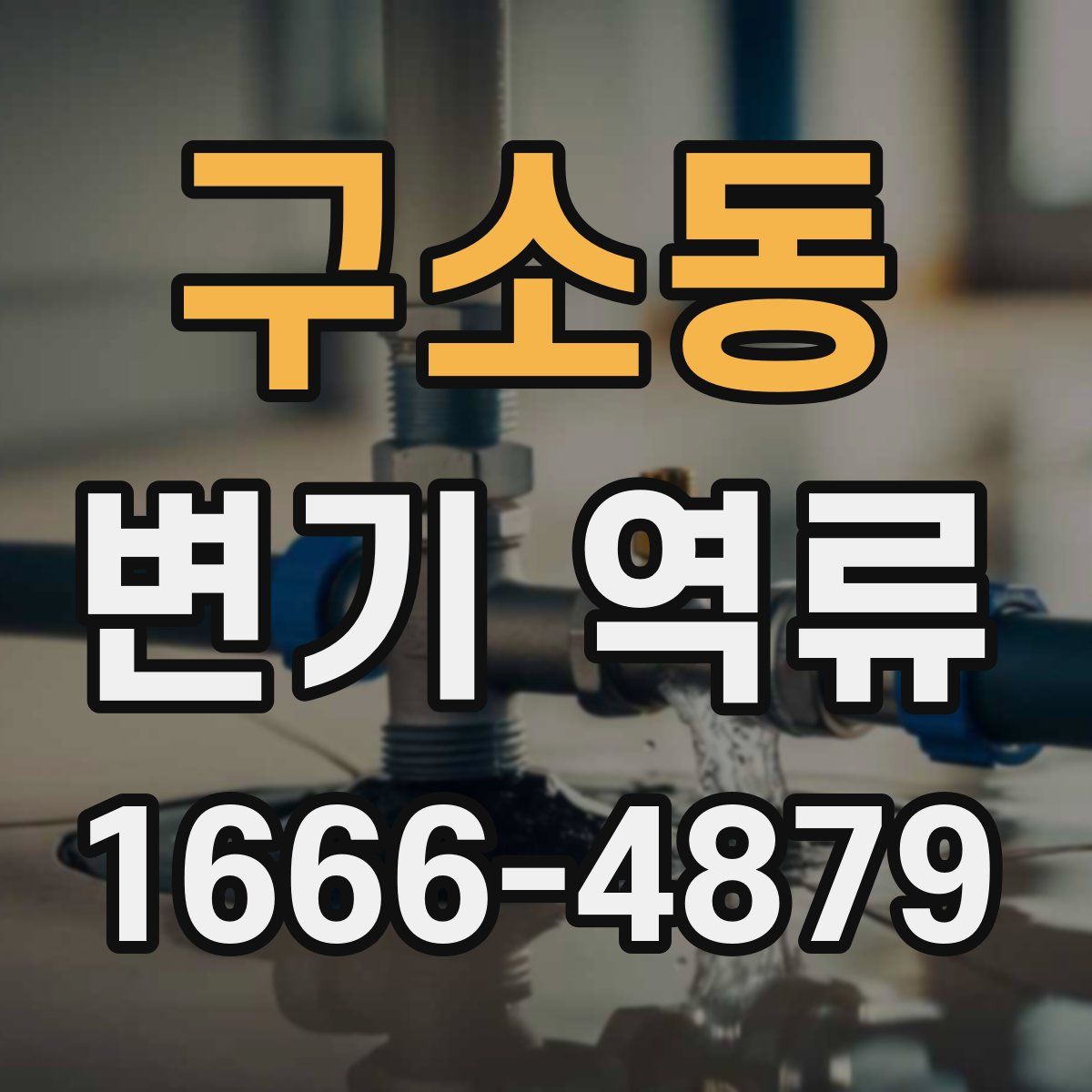 구소동 변기 역류
