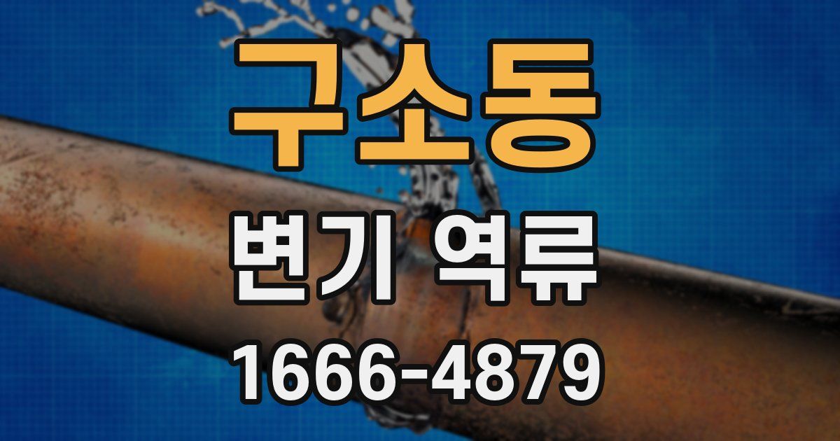 구소동 변기 역류